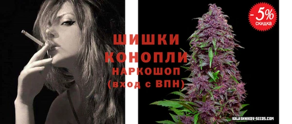 хмурый Инта