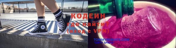 apvp Каменка