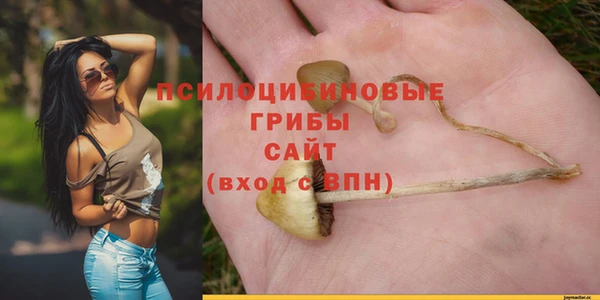 ECSTASY Иннополис