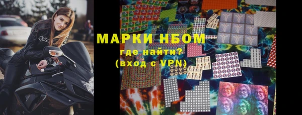 хмурый Инта