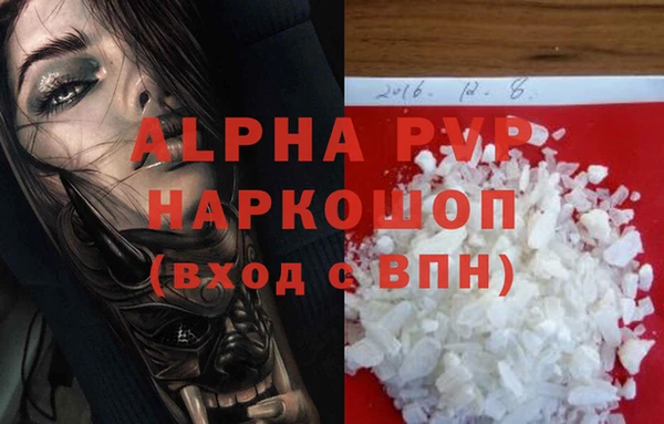 хмурый Инта