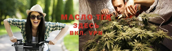 хмурый Инта