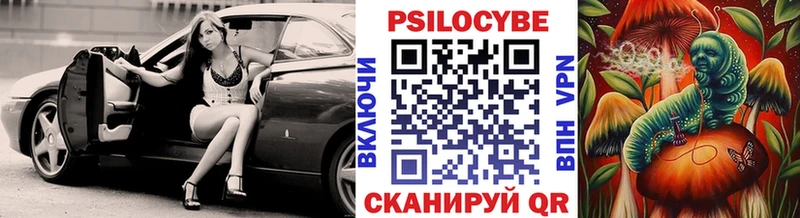 Купить где  Высоцк  Галлюциногенные грибы мицелий 